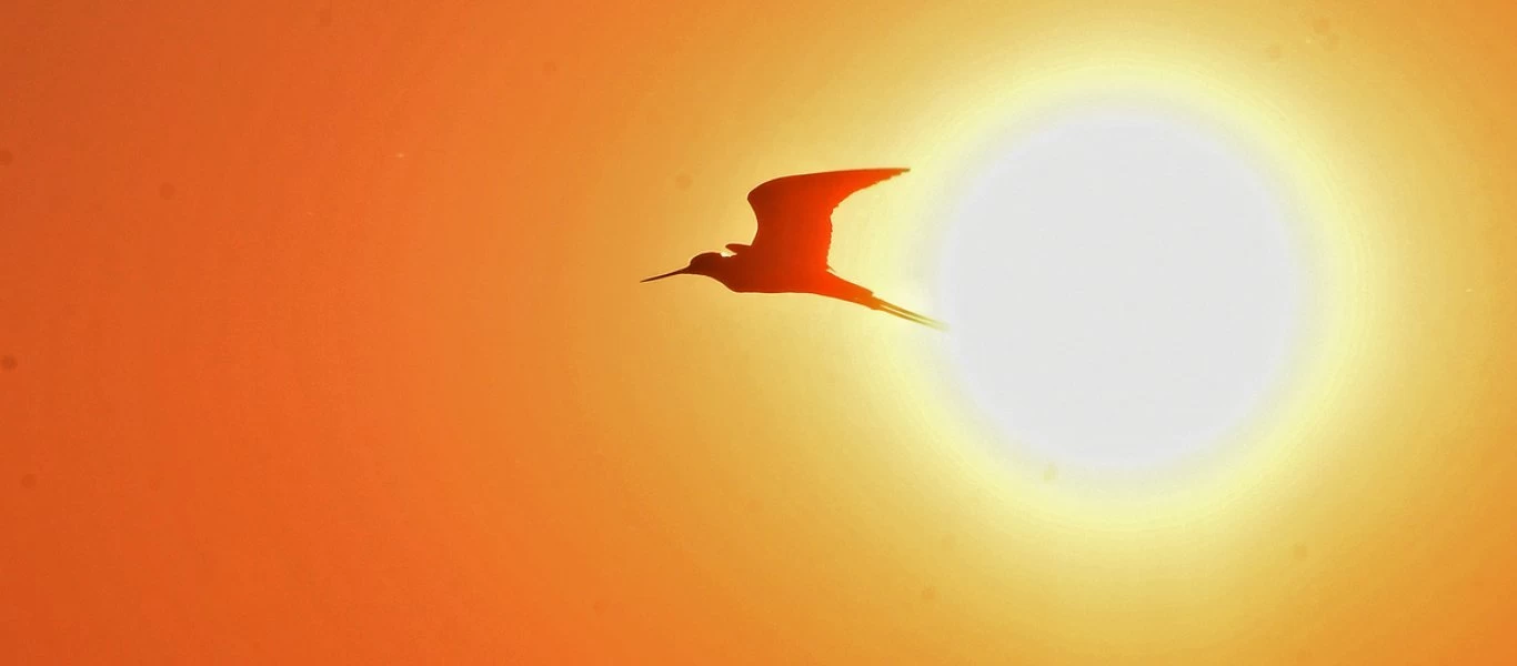  Β.Αμερική: Ο Ιούνιος ήταν ο πιο ζεστός μήνας της ιστορίας - «Καμπανάκι» επιπτώσεων κλιματικής αλλαγής